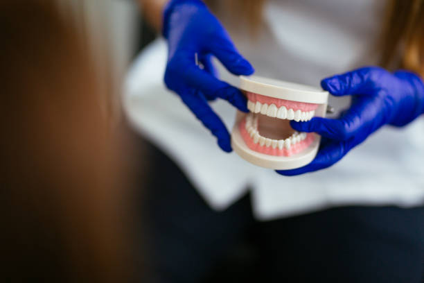 Headland, AL  Holistic Dental Services Company